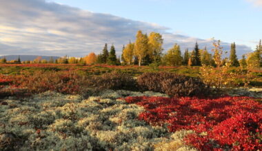 Venemaa sõda jättis polaarteadlased poolpimedaks | Teaduselu