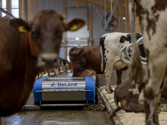 DeLaval pakub piimatootjatele ka seadmete ja tarkvarakoolitusi, kui laudas näiteks töötajad vahetuvad.