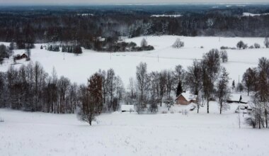 TRIIN TAMMERT ⟩ Eestlastel on globaalsete ohtude vastu üks tõhus salarelv
