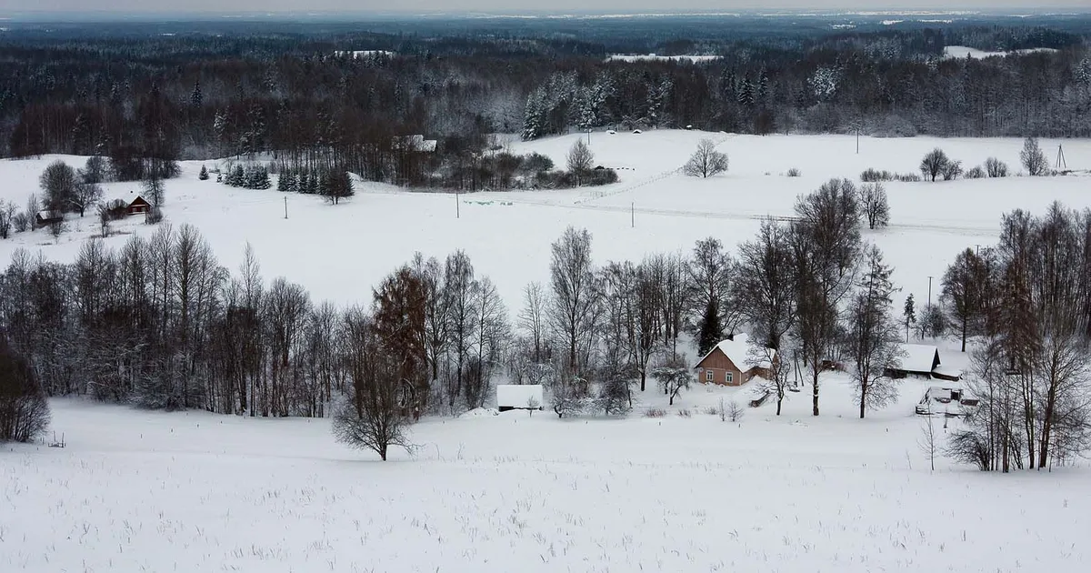 TRIIN TAMMERT ⟩ Eestlastel on globaalsete ohtude vastu üks tõhus salarelv