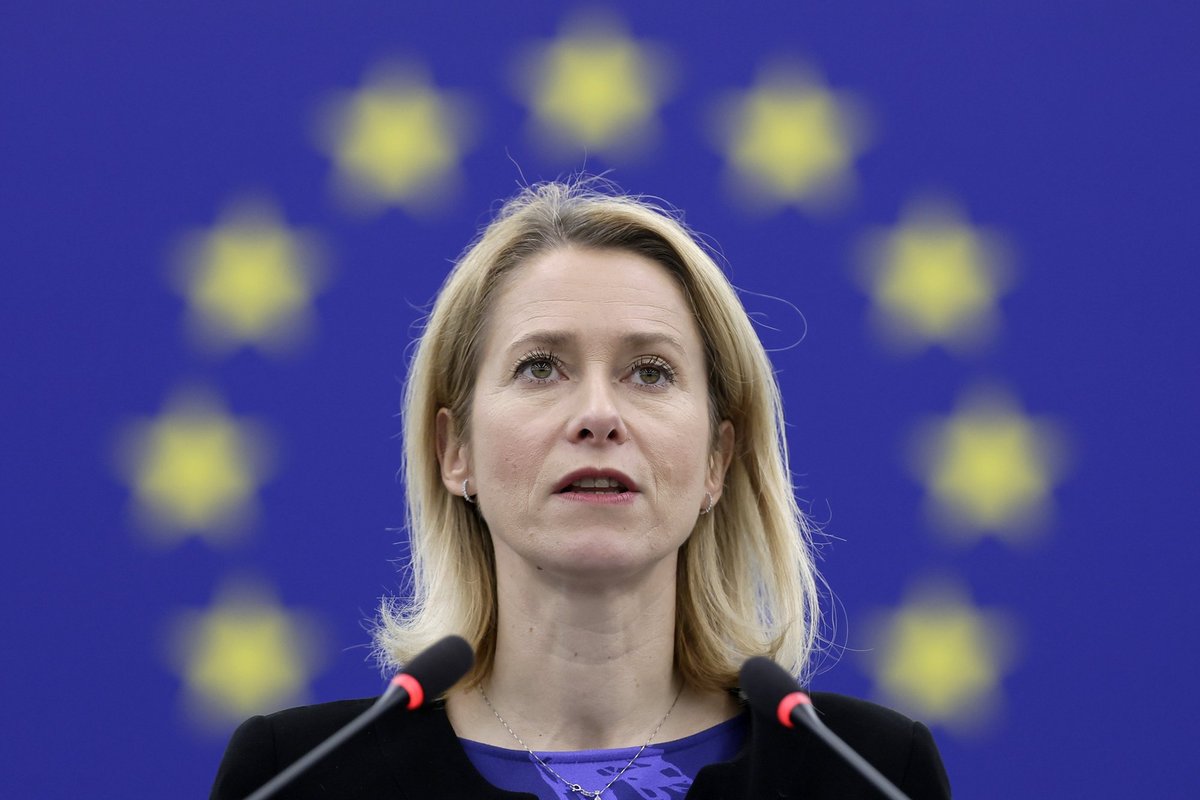 FOTO | „Püha Kaja“. Eesti galerii müüb maali, millel on Kaja Kallas kujutatud Neitsi Maarjana