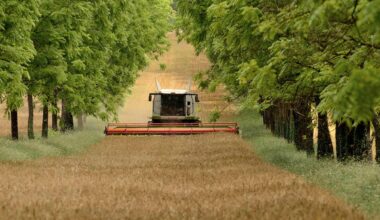 Euroopa kogemus kinnitab: taastav põllumajandus toob suurema kasumi