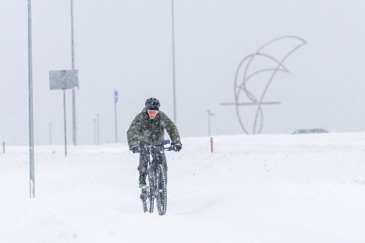FOTOD | Talv vallutas Tallinna: sahad töötavad, aga lund sajab aina juurde - Maaleht
