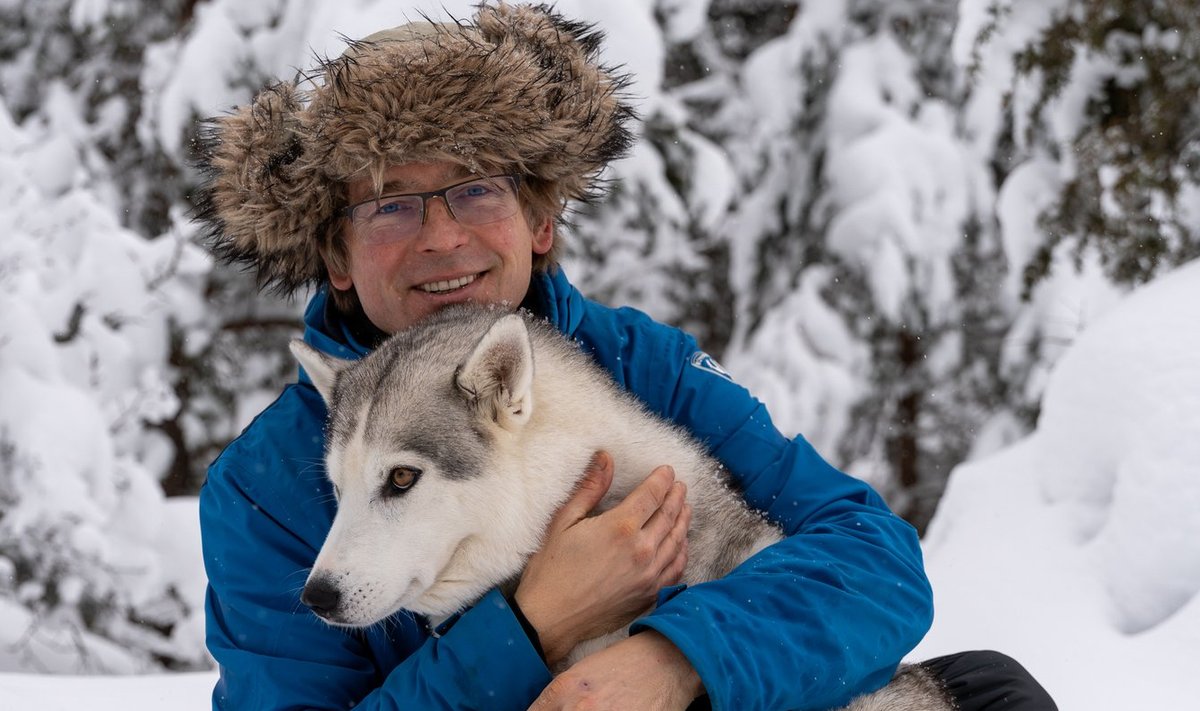TAGASI EESTIS Peeter Rebane elab koos oma husky tõugu koeraga vaheldumisi maakodus ja linnakodus Tallinnas. 