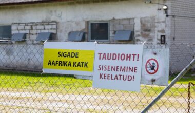 „Mina sinna praegu ei läheks!“ Soome toiduhiid hoiatab seakatku tõttu Eesti reiside eest