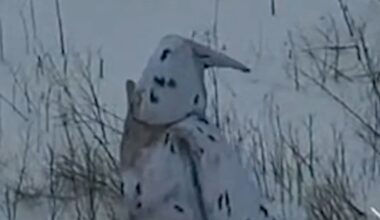 VIDEO | Vene armee riietas oma sõduri Ukrainas pingviiniks. Päris halb see mõte siiski pole