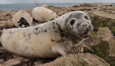 Läinud aastal oli õhutemperatuur Eestis üks läbi aastate kõrgemaid | Eesti