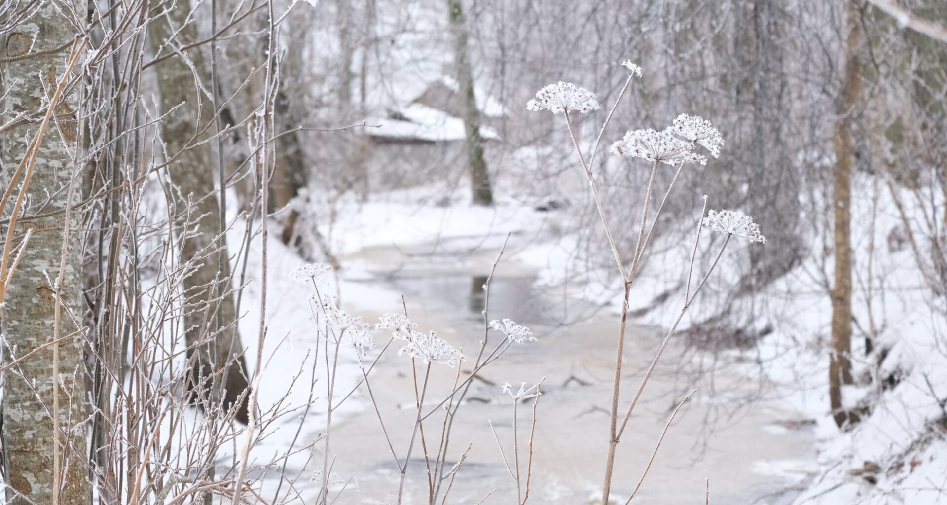 AHTO ILMAJUTUD | Krõbe külm jätkub - hiiuleht.ee