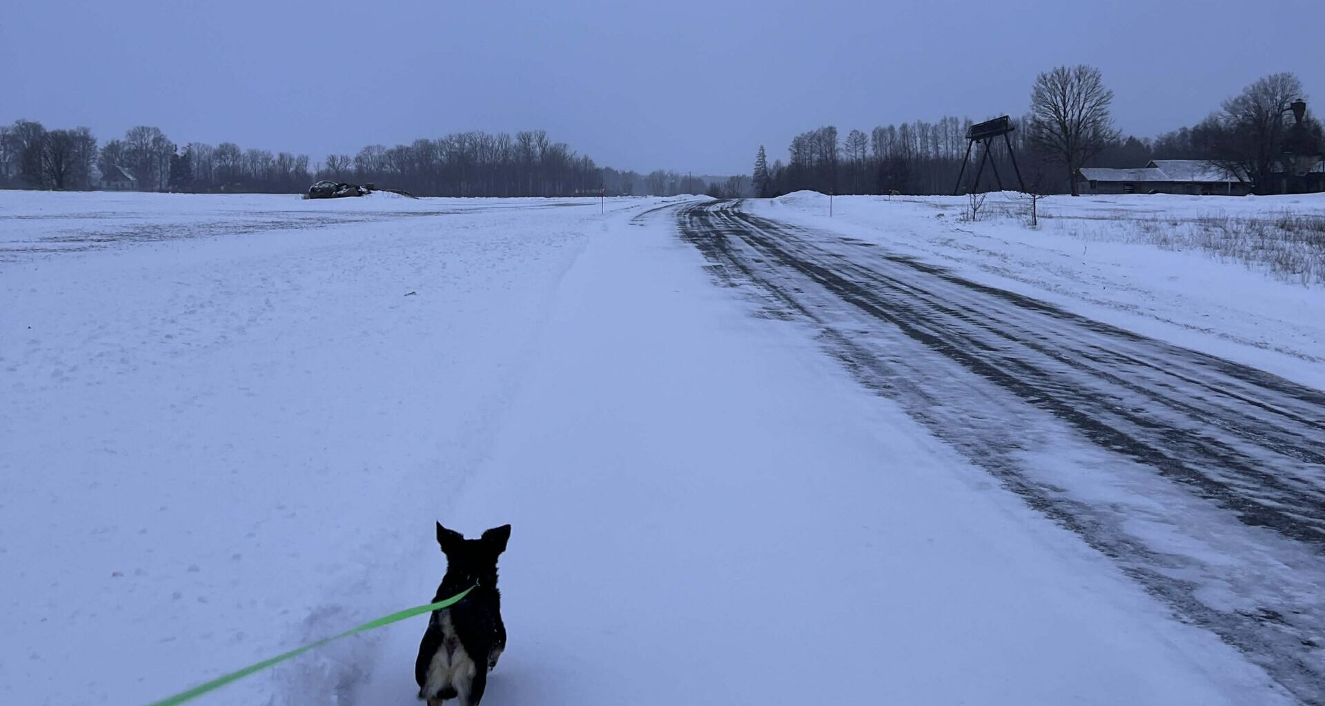 AHTO ILMAJUTUD | Lund tuleb veel juurde - Hiiu Leht