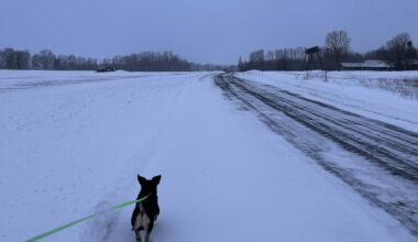 AHTO ILMAJUTUD | Lund tuleb veel juurde - Hiiu Leht