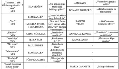 Ühiskonna valupunktid kriitikatekstide mahlas - Sirp