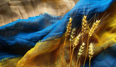 Euroopa Liidu rändluse eelised laienesid Ukrainale ja Moldovale