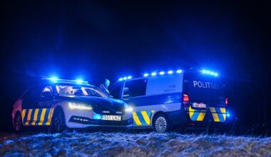 Aastavahetus möödus politseile töiselt, tehti üle 500 väljakutse