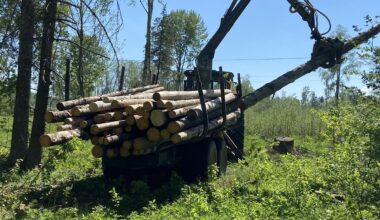 Riigikohus: linnurikkas metsas raierahu jõustamiseks ei pea linde loendama