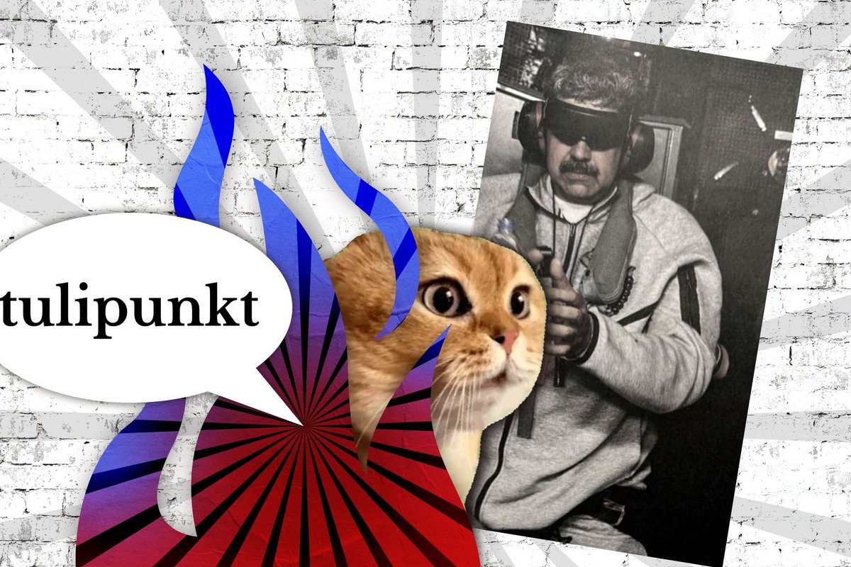 TULIPUNKT | Vitali Bestšastnõi: pseudoekspertidele piisab mõnest üksikust artiklist, et selgitada, mis „tegelikult toimub“ - Delfi