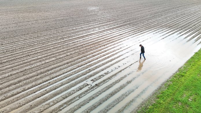 Kartulikasvataja Ants Muld vee alla uppunud kartulipõllul Jaaska-Hindriko talus