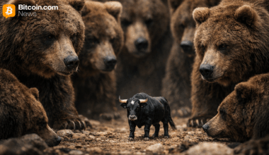 Cryptoquant: Bitcoini nõudluse tingimused on veidi paranenud, karuturg siiski jätkub - Bitcoin.com News