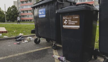 Uus seadus pani korstnapühkijad ministeeriumist abi otsima