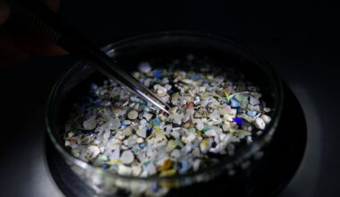 Tõeline plahvatus teadusmaailmas: mikroplasti terviseoht osutus liialdatuks