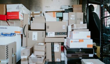 Internetipettused ja kuidas neid vältidachat Saagi I osa – Võltsitud pakid – Letem svetem Applem