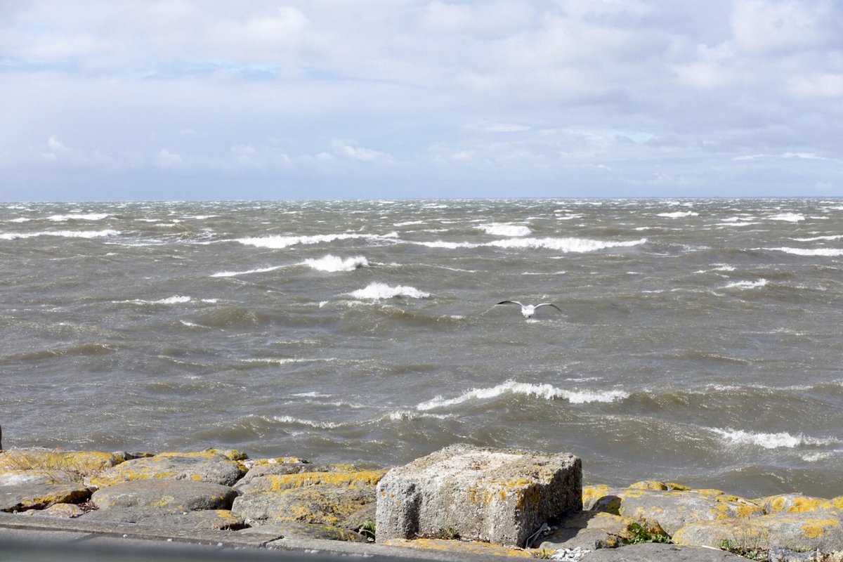 Läti politsei: kahtlustatud laev ei ole seotud merekaabli kahjustamisega Liepāja lähedal