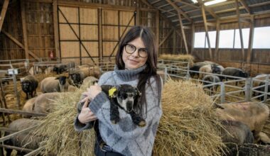 Põllumehed kardavad, et valitsus suunab neile mõeldud 546 miljonit eurot mujale