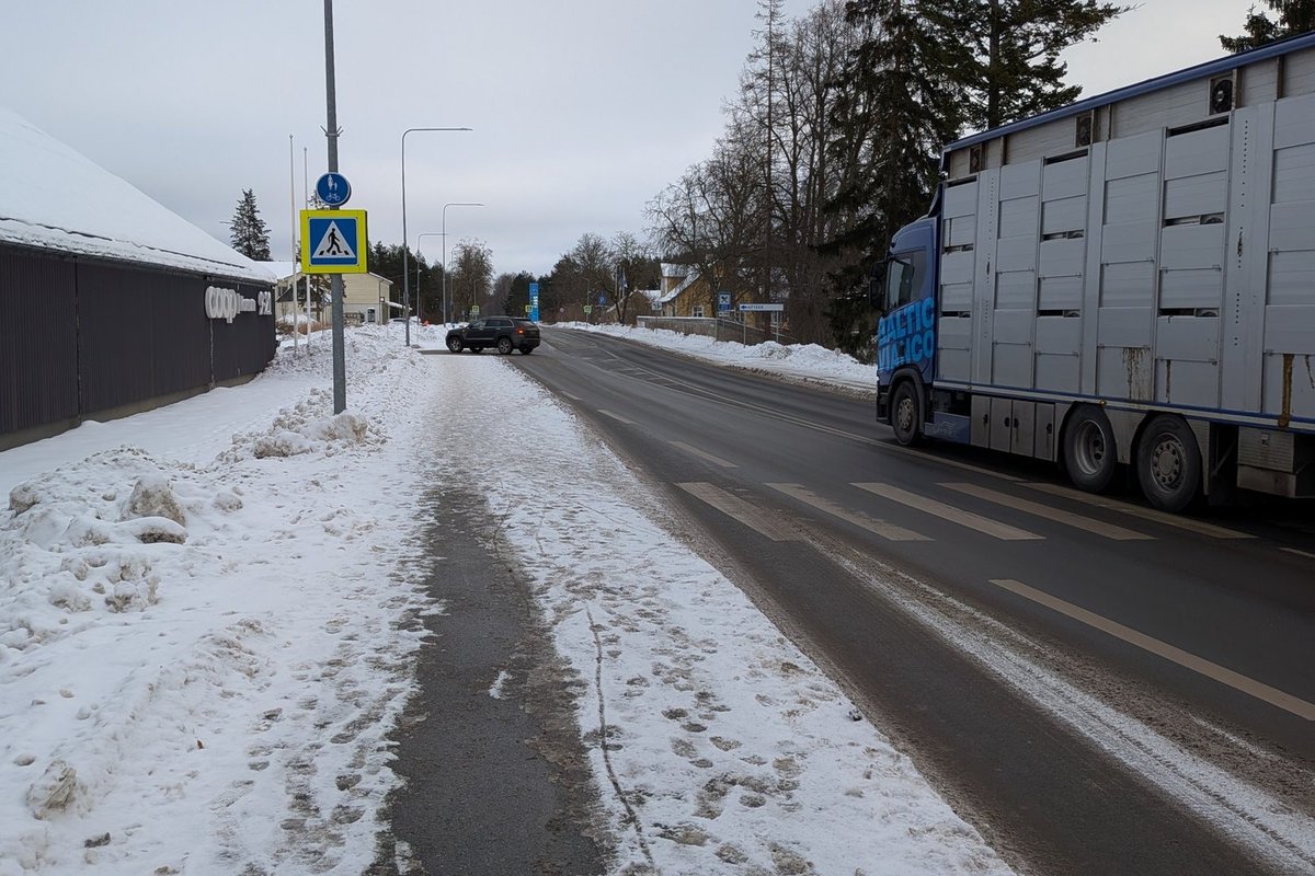 Liiklusõnnetuses poja kaotanud ema võitles välja madalama piirkiiruse ja trahvikaamera