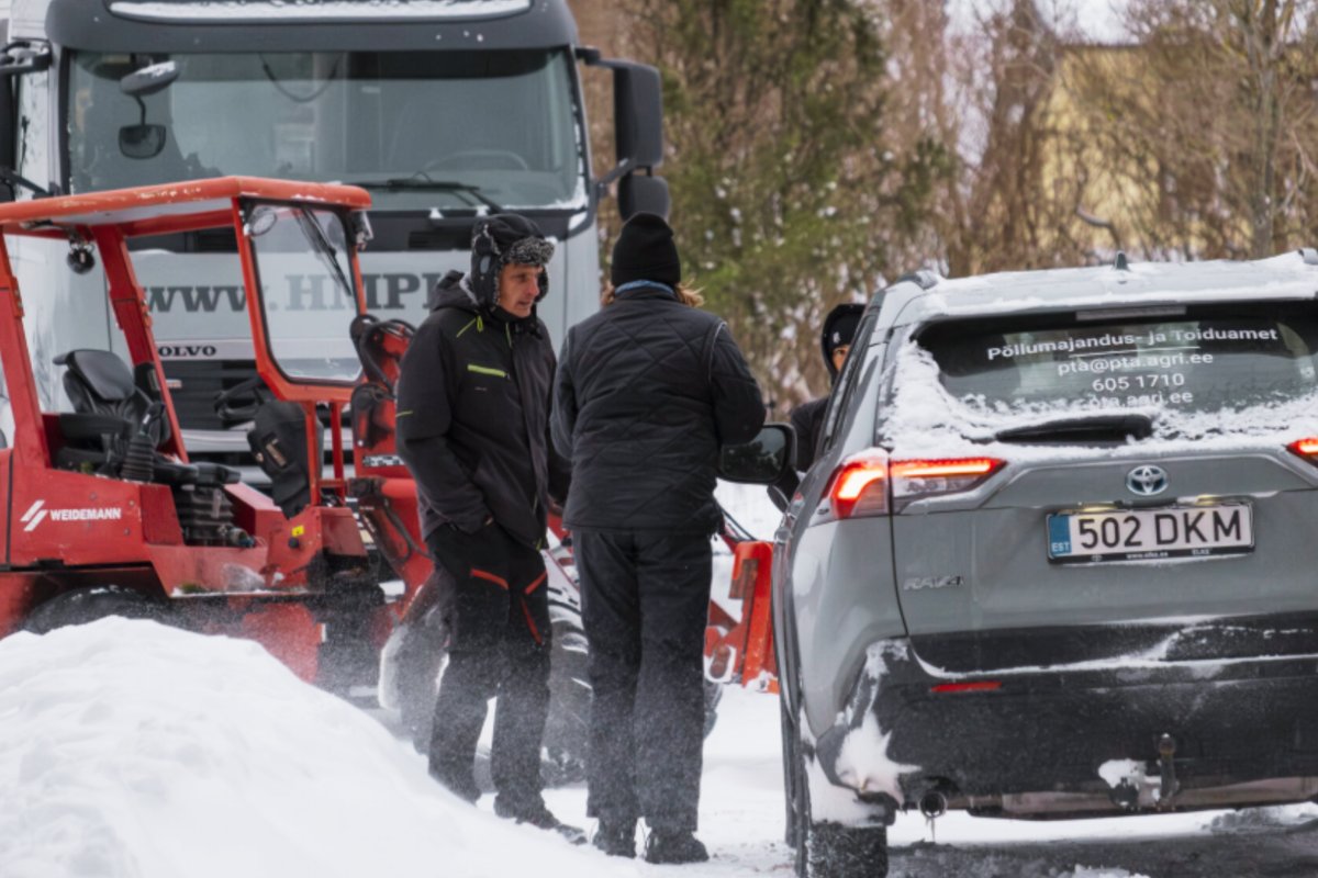 PTA hukkas Nuudi hobitalus üle 100 linnu, talupere süüdistab ametnikke hoolimatuses - Maaleht