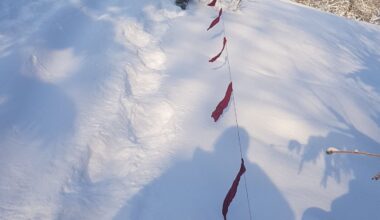 Hundi küttimismahtu suurendati - Eesti Jahimeeste Selts