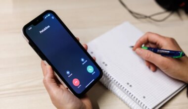 finantsinspektsioon ei taha petulaenude eest vastutada