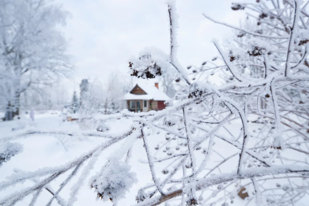 „Kui kukun ja lamama jään, ei pruugi keegi teada saada.“