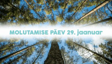 MOLUTAMISE PÄEV | Hiiumaa Turismiklaster tahab 29. jaanuarit riigipühaks