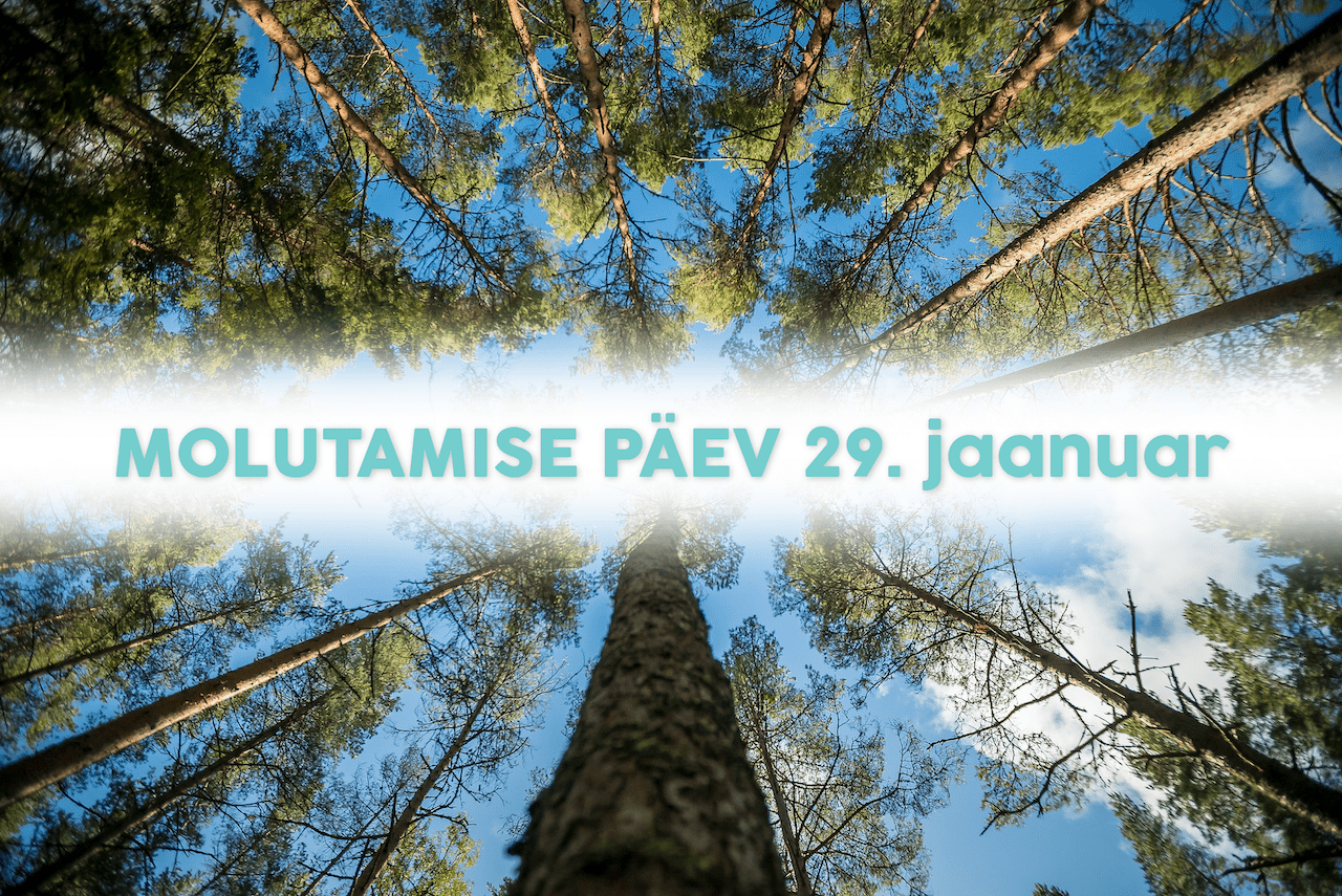 MOLUTAMISE PÄEV | Hiiumaa Turismiklaster tahab 29. jaanuarit riigipühaks