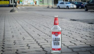 maksumaksja saab uuel aastal tulevaste põlvkondade arvel kopsaka kingituse