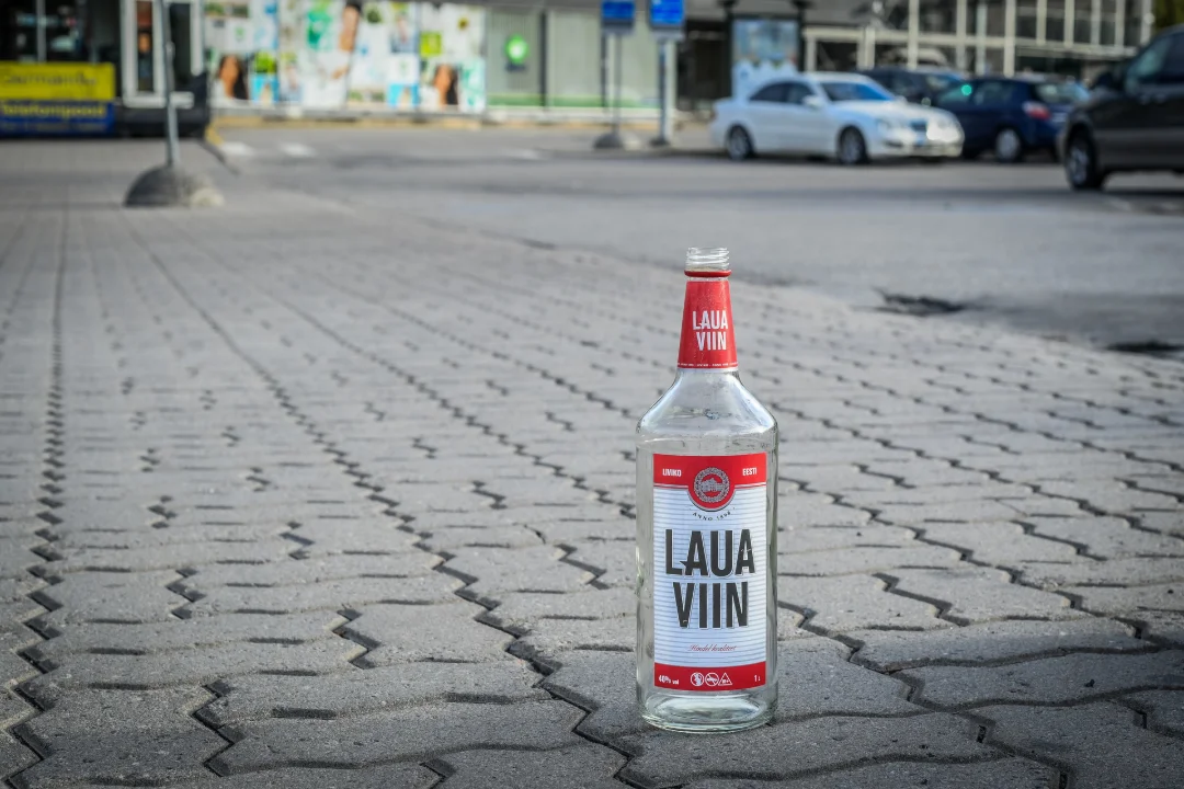 maksumaksja saab uuel aastal tulevaste põlvkondade arvel kopsaka kingituse