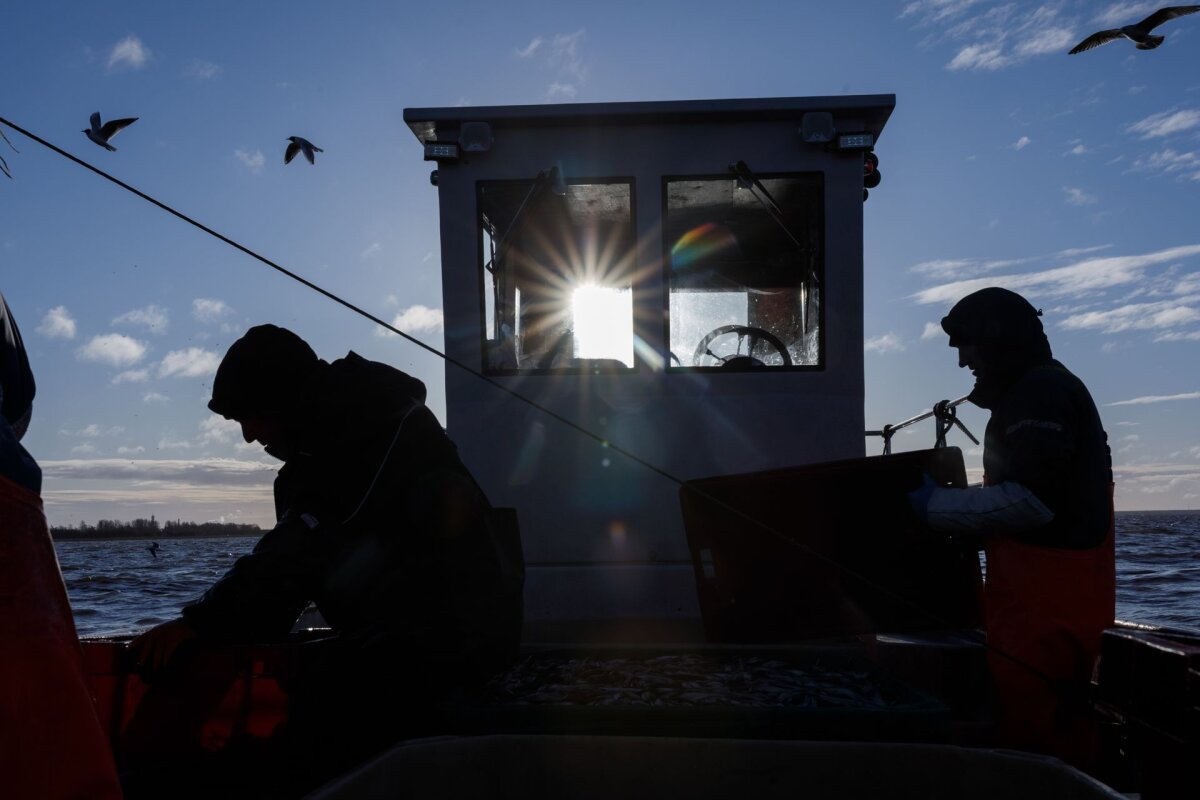 Läänemerel häiritakse laevade positsioneerimist rohkem kui kunagi varem