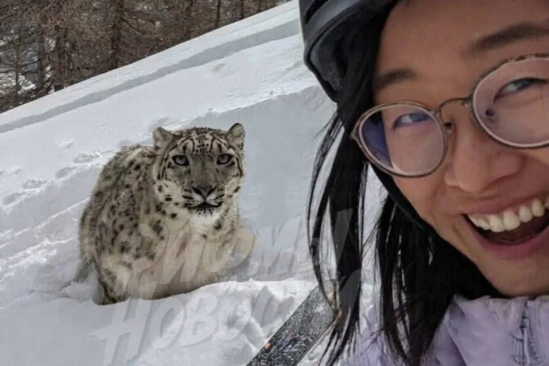 Enekas lumeleopardiga lõppes hammustusega – naine oleks peaaegu kaotanud näo