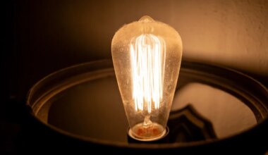 1000 eurot: jaanuarikuu elektriarve lõi inimestel hinge kinni - Majandus