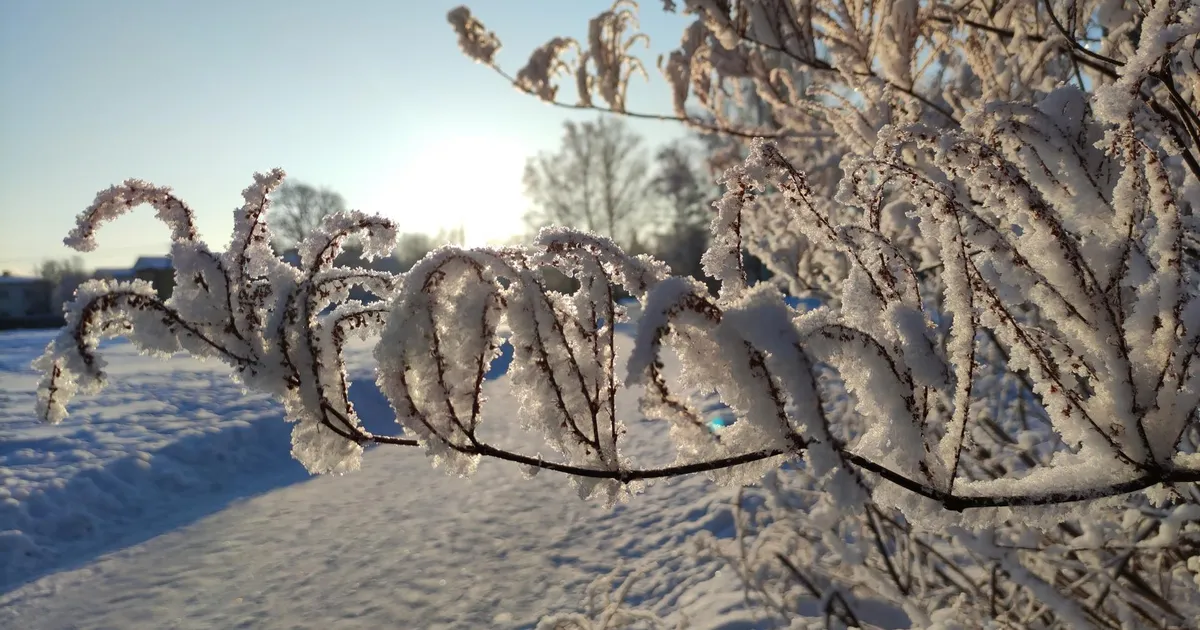 Veebruar algas selle talve uue külmarekordiga