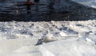 NÄDALA ILMAPROGNOOS ⟩ Külm ja erakordselt sajuvaene talveilm püsib - Pärnu Postimees