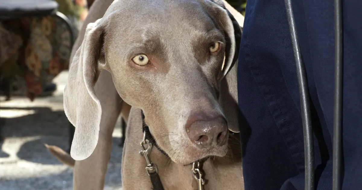 teleka ees muutusteta elik sealt ei tule m*nnigi