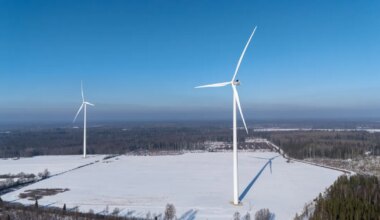 Börsielekter kallineb veelgi. Miks tuleb elektri eest maksta hingehinda? - Majandus