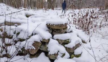 Tallinn võttis Astangu-Mäeküla kaitseala küsimuses aja maha