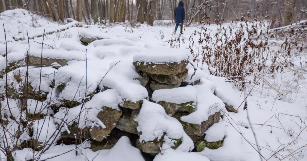 Tallinn võttis Astangu-Mäeküla kaitseala küsimuses aja maha
