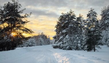 Jõhvis ja Narvas sadas jaanuaris vähem kui mujal Eestis - Põhjarannik