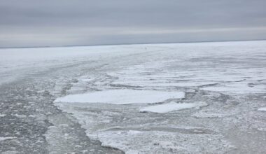 KEERULISED OLUD | Regula väljumised pühapäeva õhtul ja esmaspäeva hommikul on tühistatud