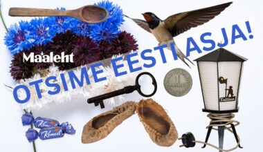 Maalehe üleskutse Eestimaa rahvale: leiame Eesti sünnipäevaks üles Eesti asja!