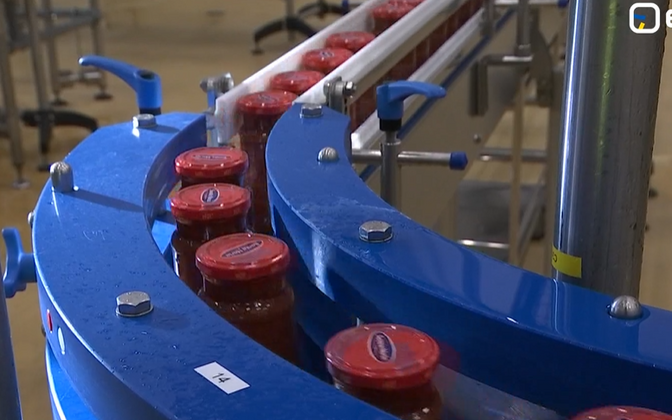 Pauligi plaanid Sauel tootmist laiendada sõltuvad leppest Rootsi ametiühinguga | Majandus