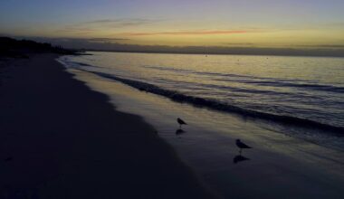 Austraalias ujus „üliinimlik“ teismeline tunde, et päästa oma merehätta sattunud perekond