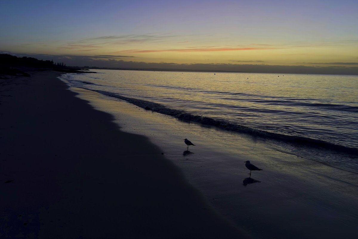 Austraalias ujus „üliinimlik“ teismeline tunde, et päästa oma merehätta sattunud perekond